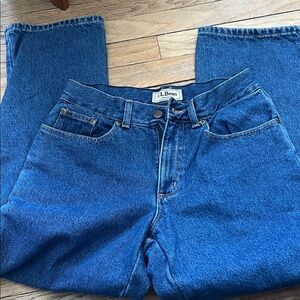 L.L. Bean Classic Straight Leg Blue Jeans